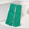 1dark-green